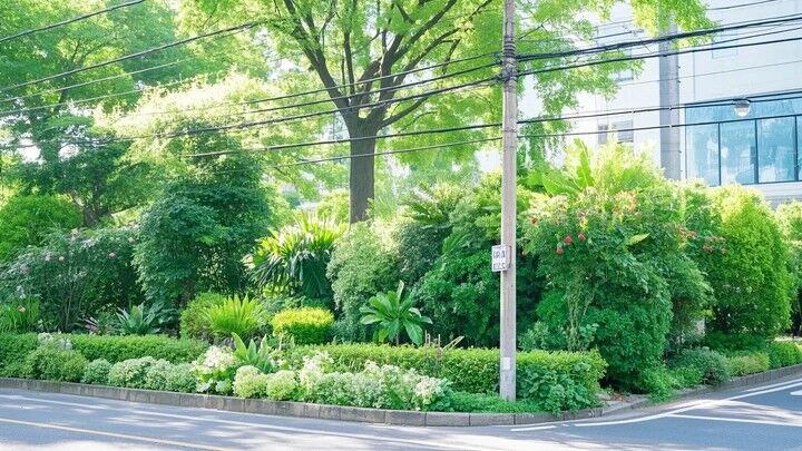蓖麻长子叶后多久长新叶?三阶段生长规律全解析